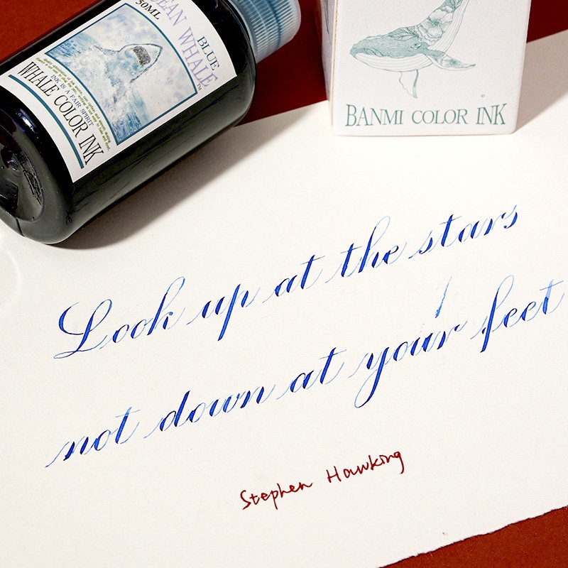 Tinta Pena Seri Banmi Whale Na - Fountain Pen Bottled Ink ulasan dan harga